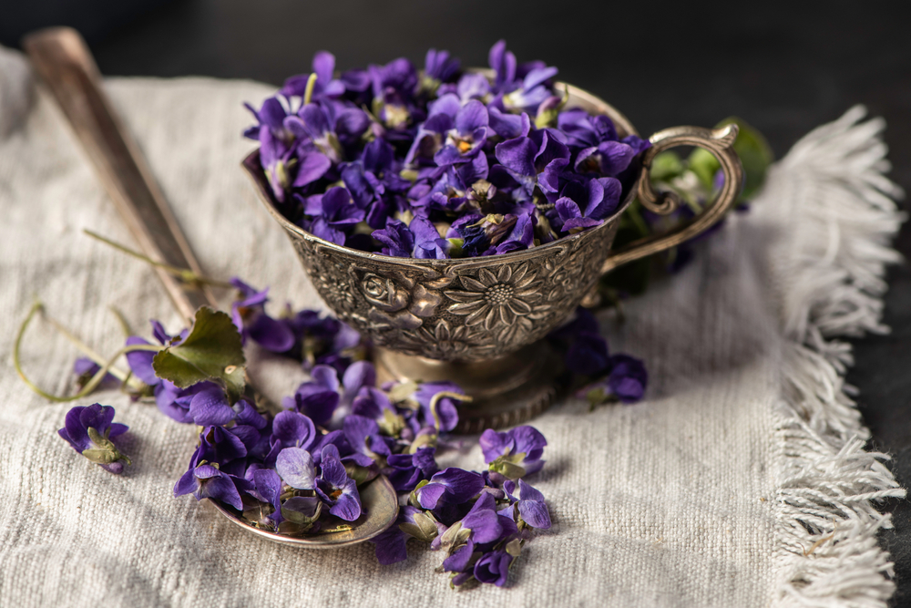 Viola: la presenza di un colore profumato
